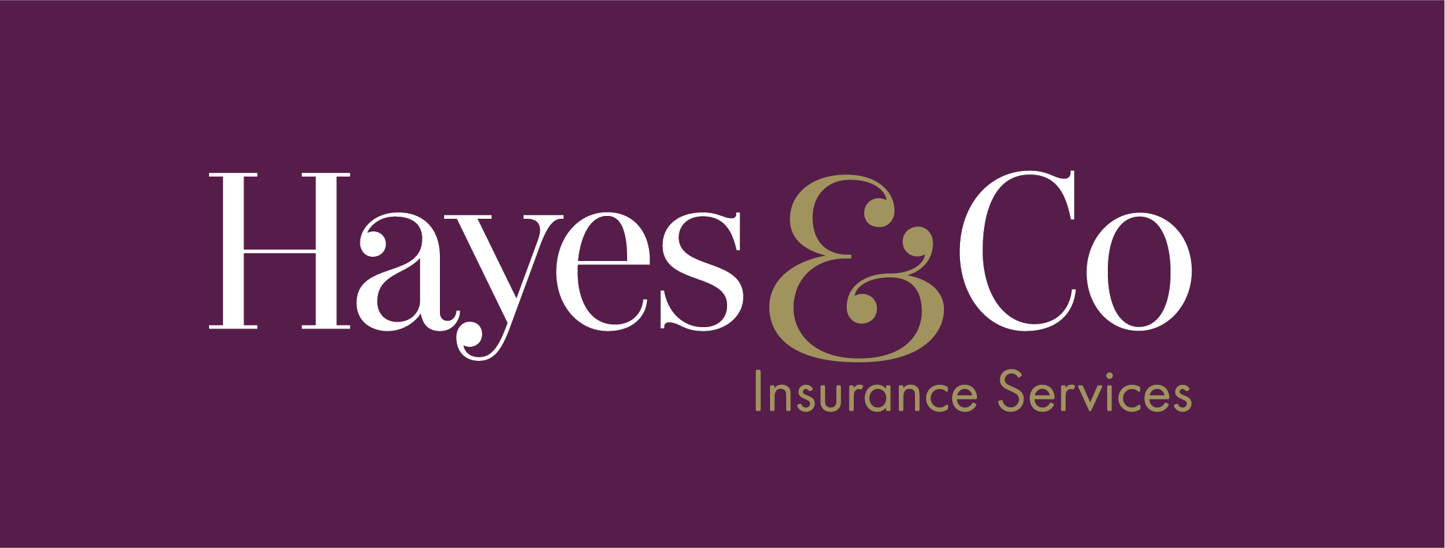 Hayes & Co Insurance Services